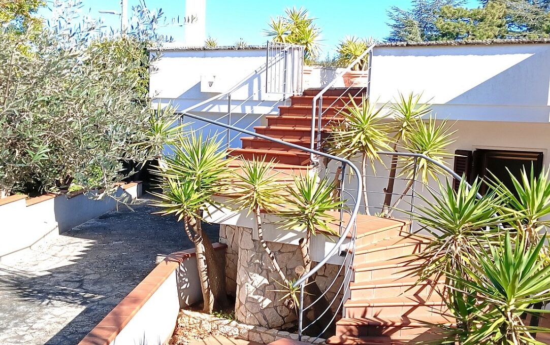 024b8032-fc7e-4ddb-b2c2-423e40d2f5a1