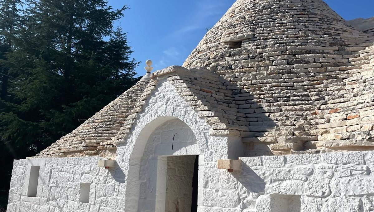 WhatsApp Image 2025-01-03 at 22.48.36(6)