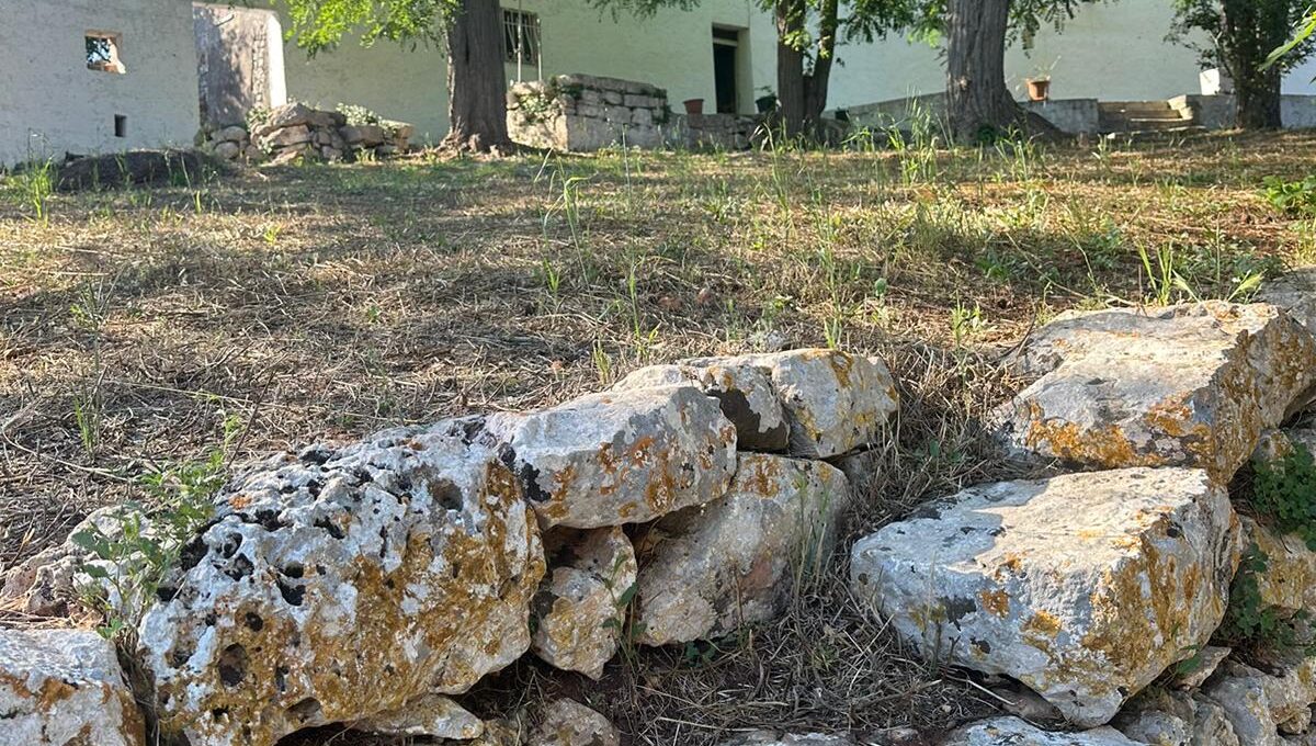 0af72ce5-9de9-4a6d-9739-215dba531df1