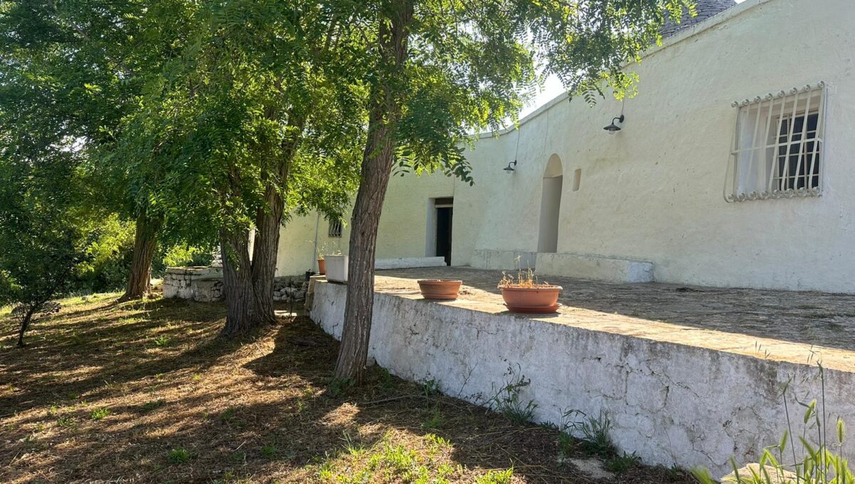 117e36c7-52b5-4348-b931-26c060a37dd8