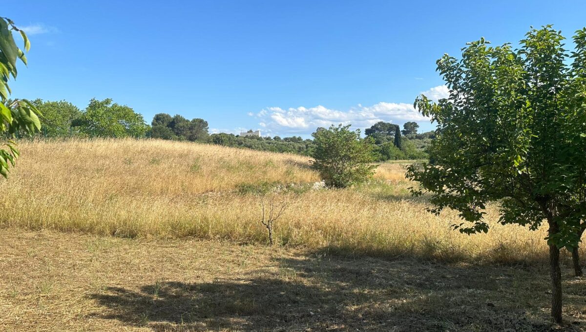 26566eb7-55a4-4ddd-80f2-08f724079e4f