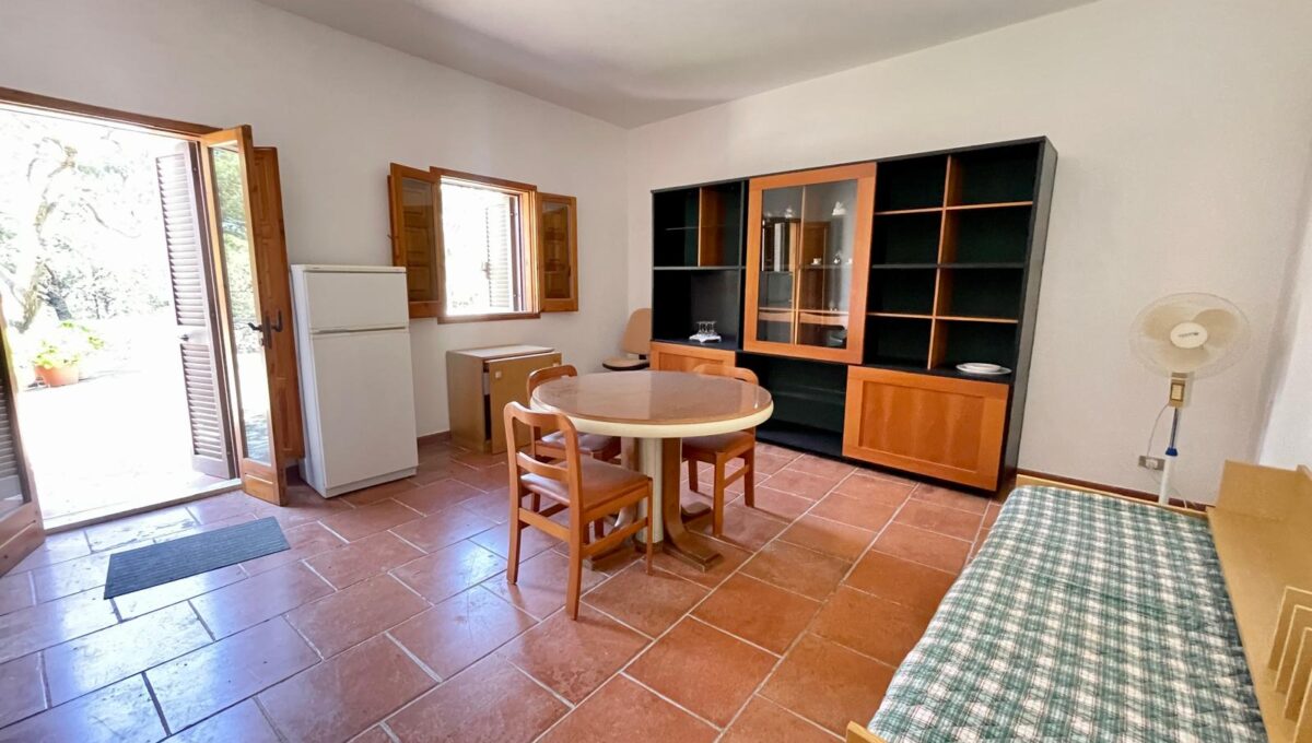 3da7e2de-55c0-455f-ac63-fc62195aa774