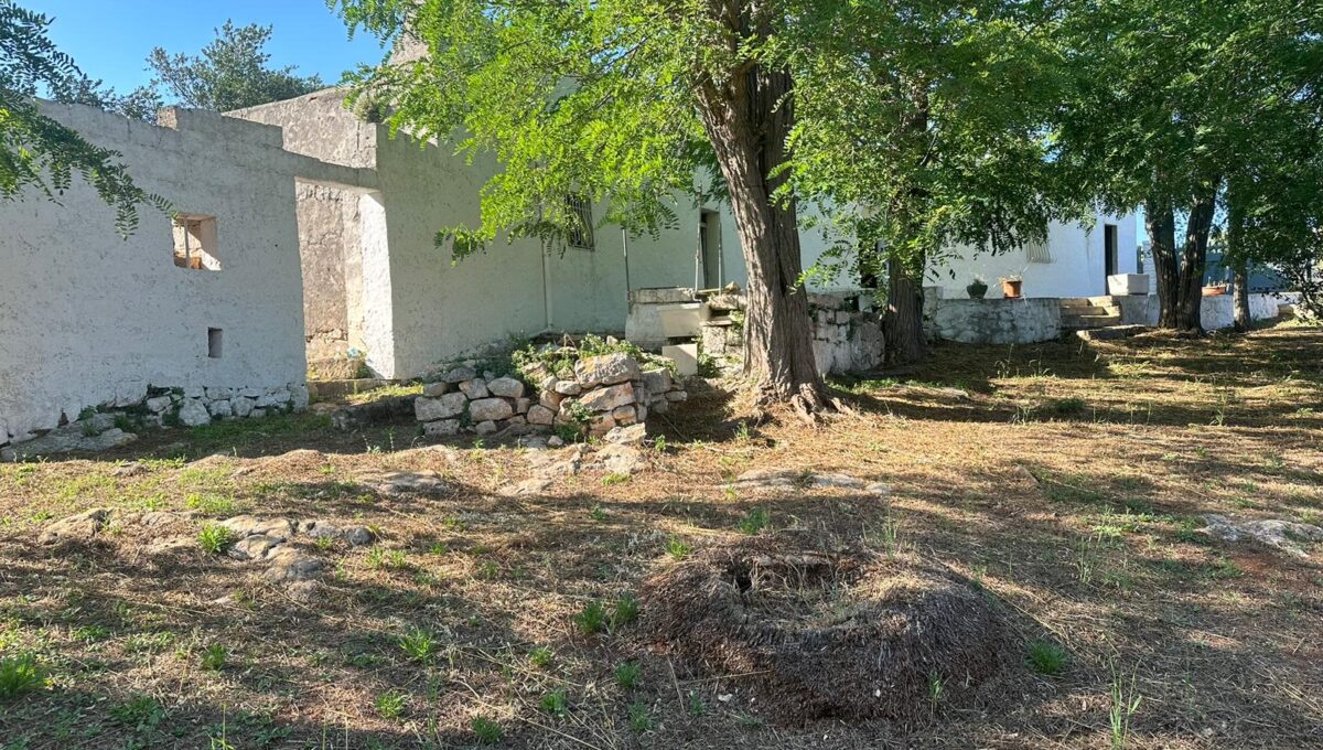 94d0feff-b910-4586-9e42-f030dcc3fd80