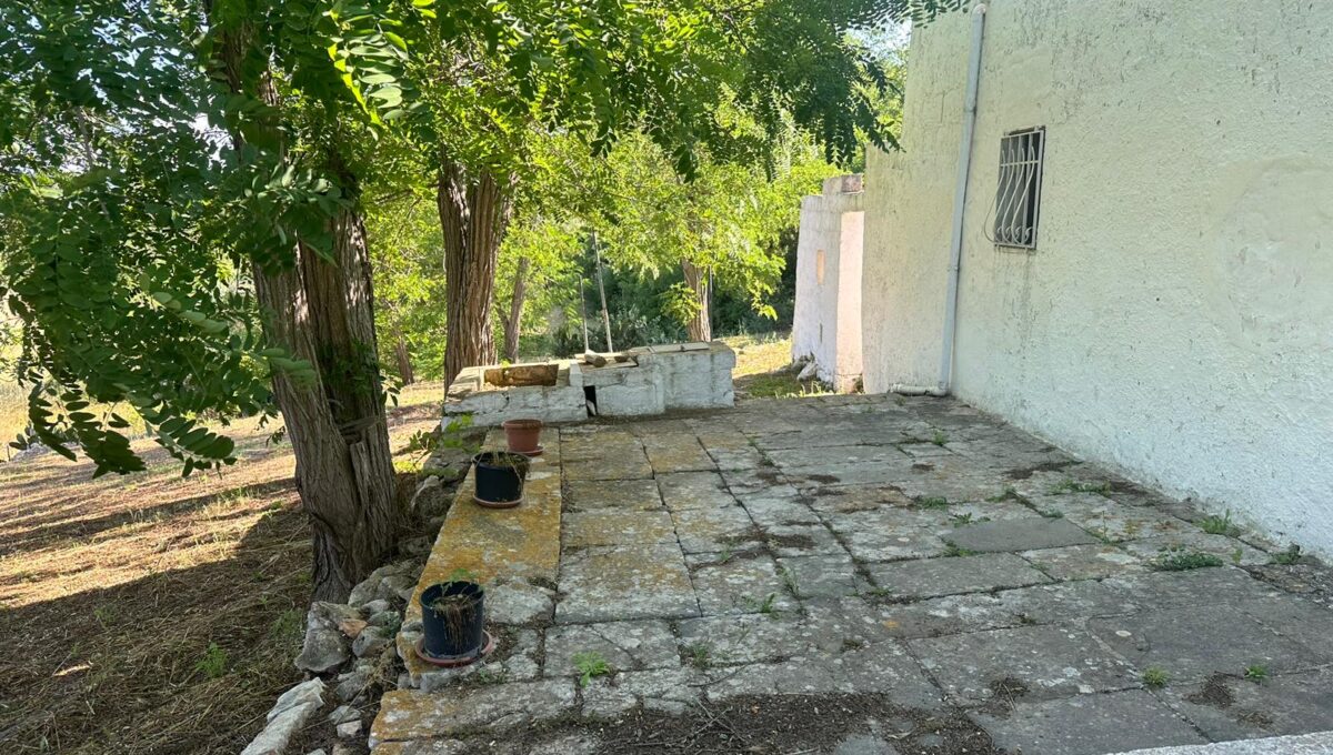 c9e5f289-161c-4fdd-a689-ed9c2f22cdad