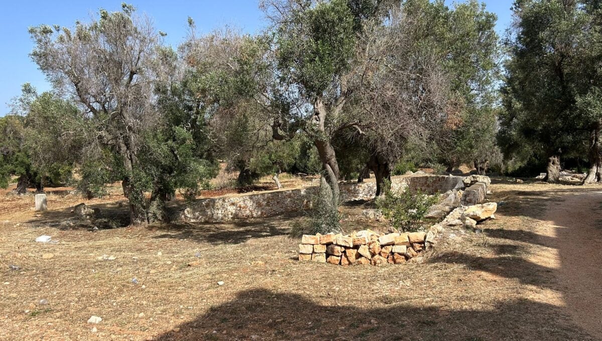 15ab517e-510c-4c6f-9d05-096b43072728