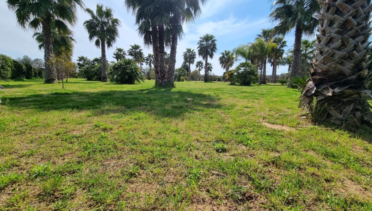 WhatsApp Image 2025-02-04 at 10.26.37(3)