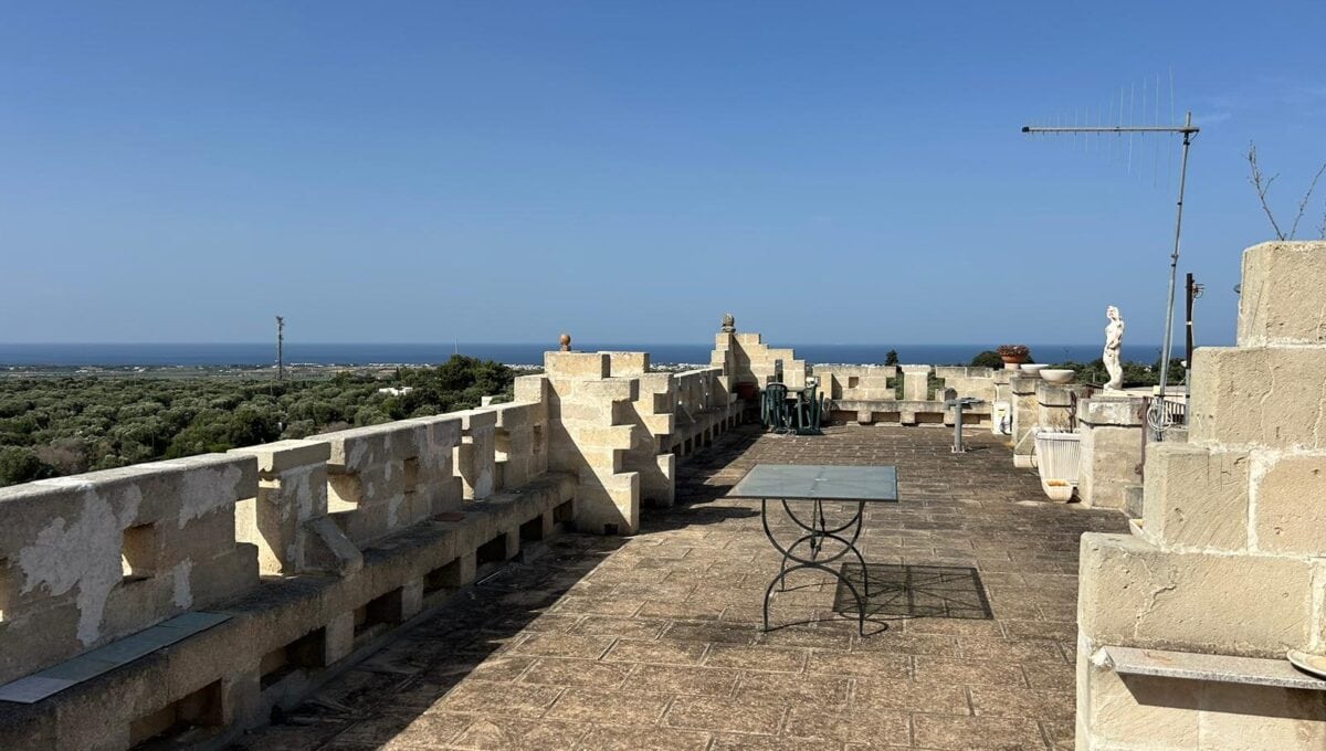 a56b336a-ff31-4b65-8806-5090dbcb4d78