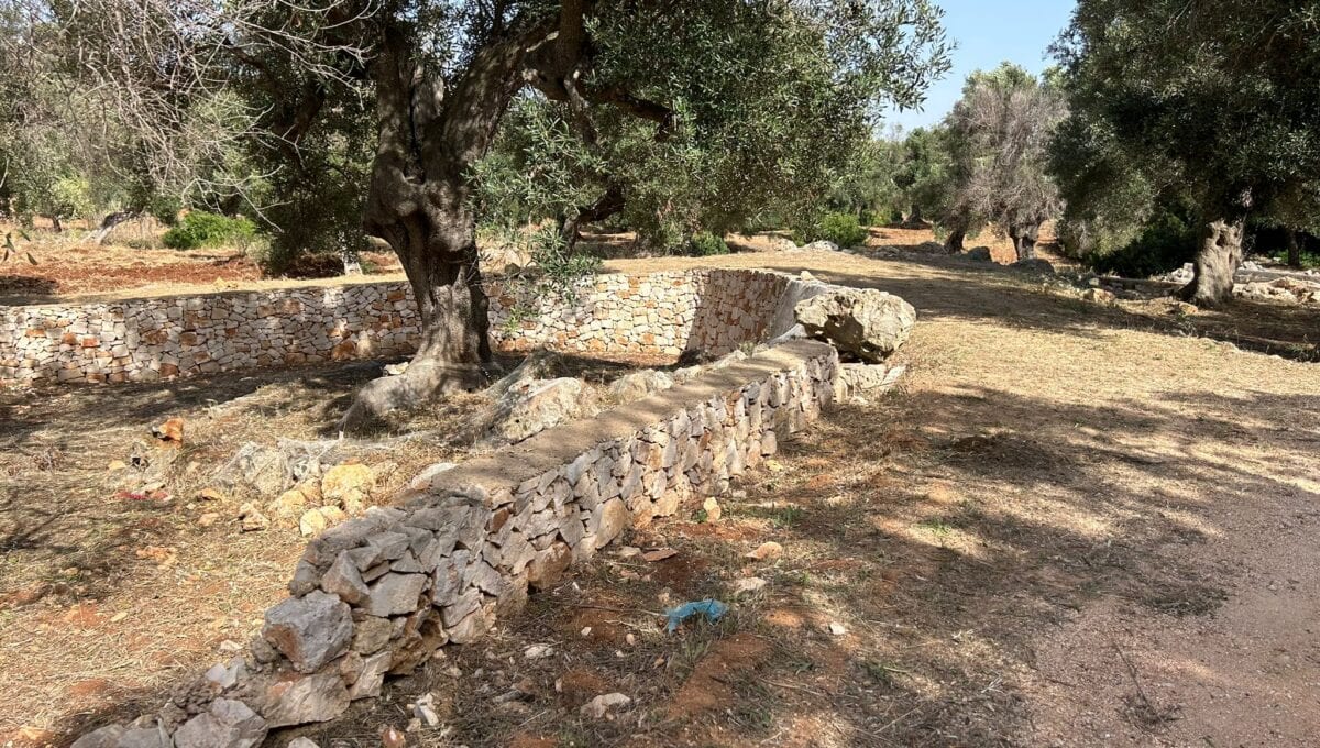 b47a9b54-b60c-4498-8c06-7f816e48dde6