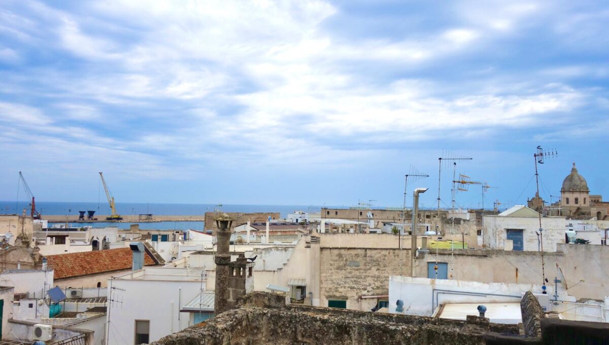 WhatsApp Image 2024-07-01 at 11.38.47