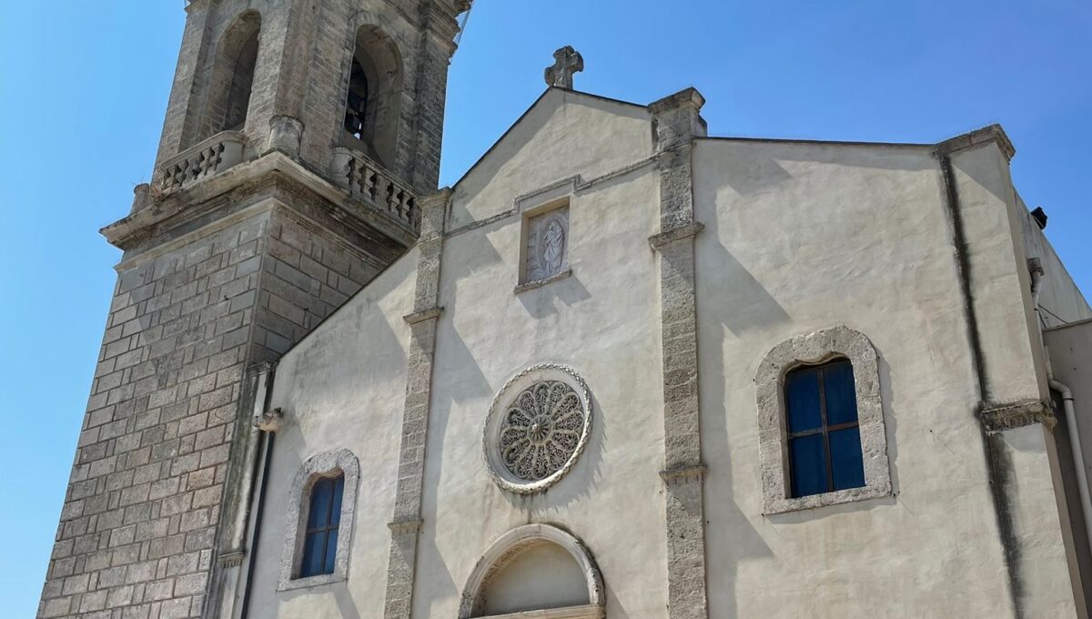 WhatsApp Image 2024-07-29 at 12.44.08