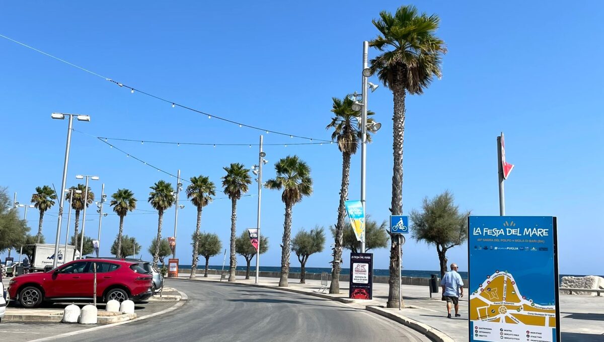 WhatsApp Image 2024-07-29 at 12.45.54 (1)