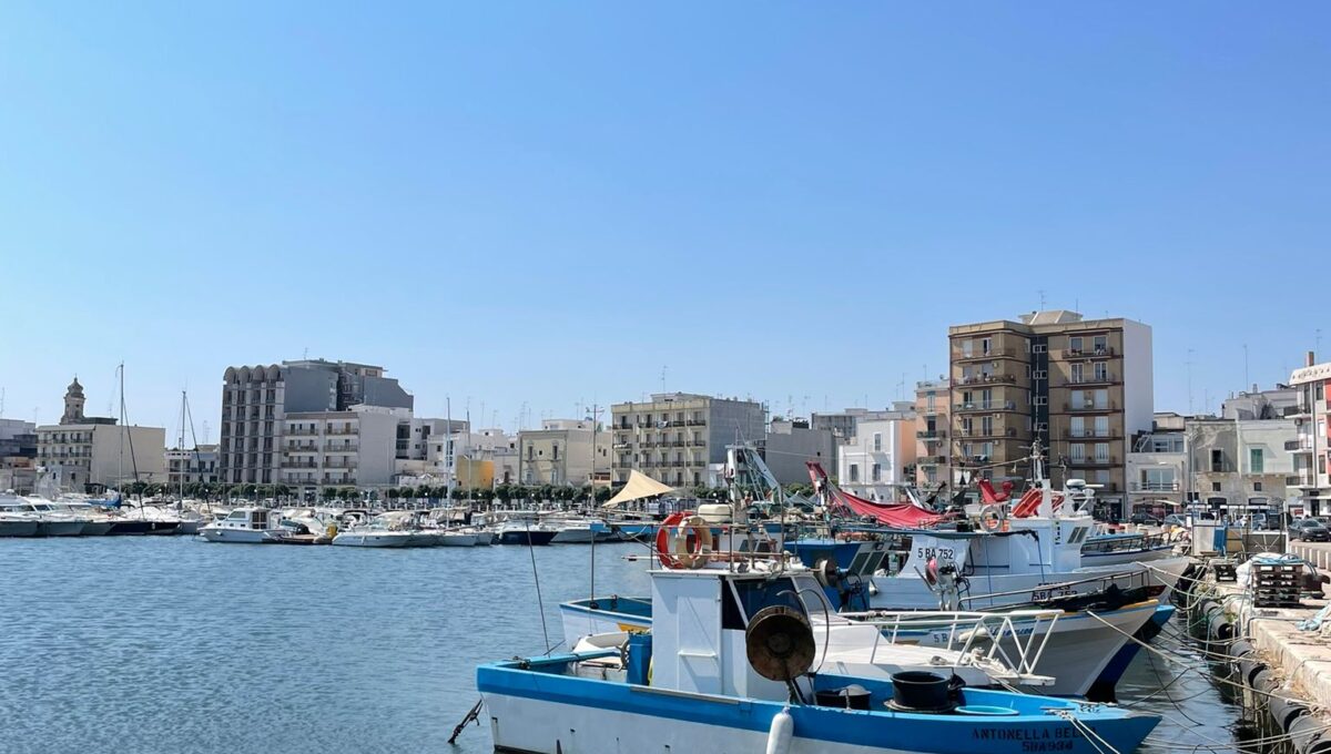 WhatsApp Image 2024-07-29 at 12.45.54