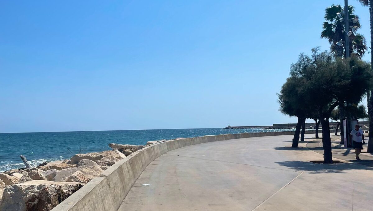 WhatsApp Image 2024-07-29 at 12.45.55