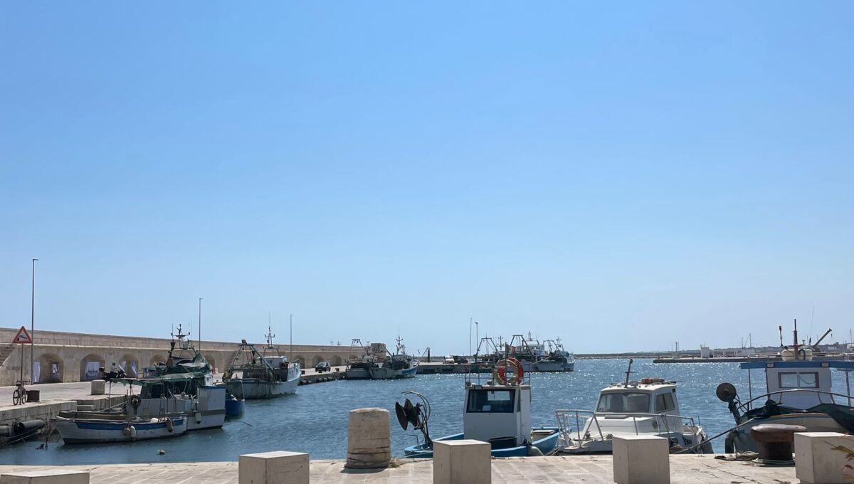 WhatsApp Image 2024-07-29 at 12.45.55 (3)