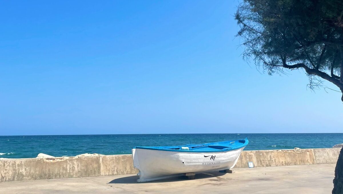 WhatsApp Image 2024-07-29 at 12.45.56 (1)