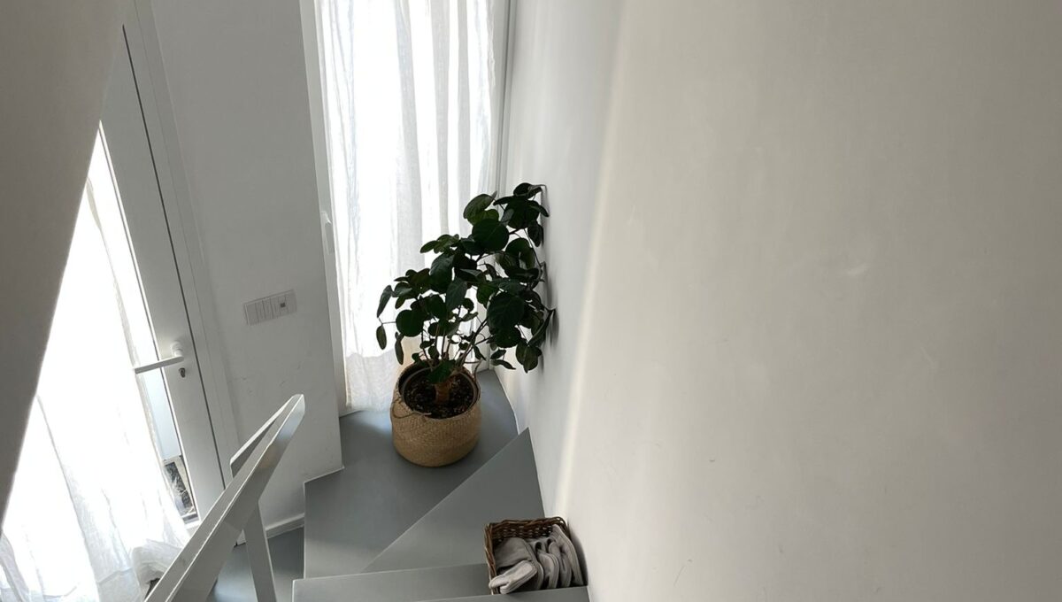 WhatsApp Image 2024-07-29 at 12.45.56