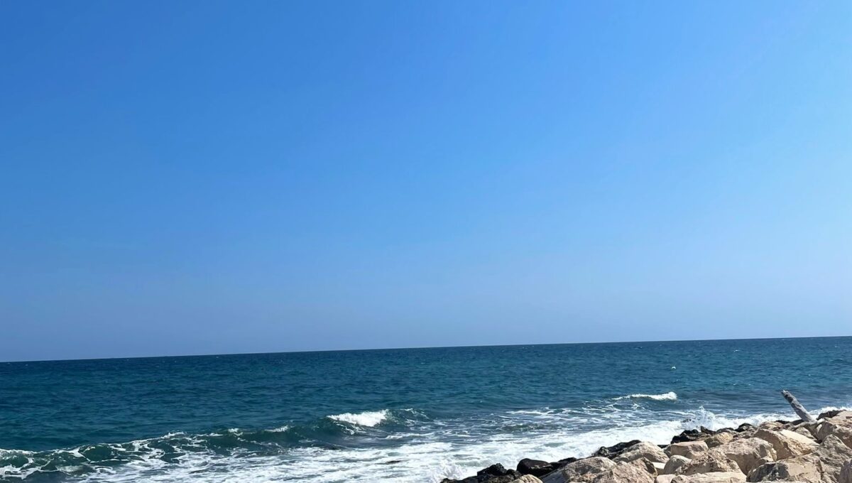 WhatsApp Image 2024-07-29 at 12.45.56 (3)