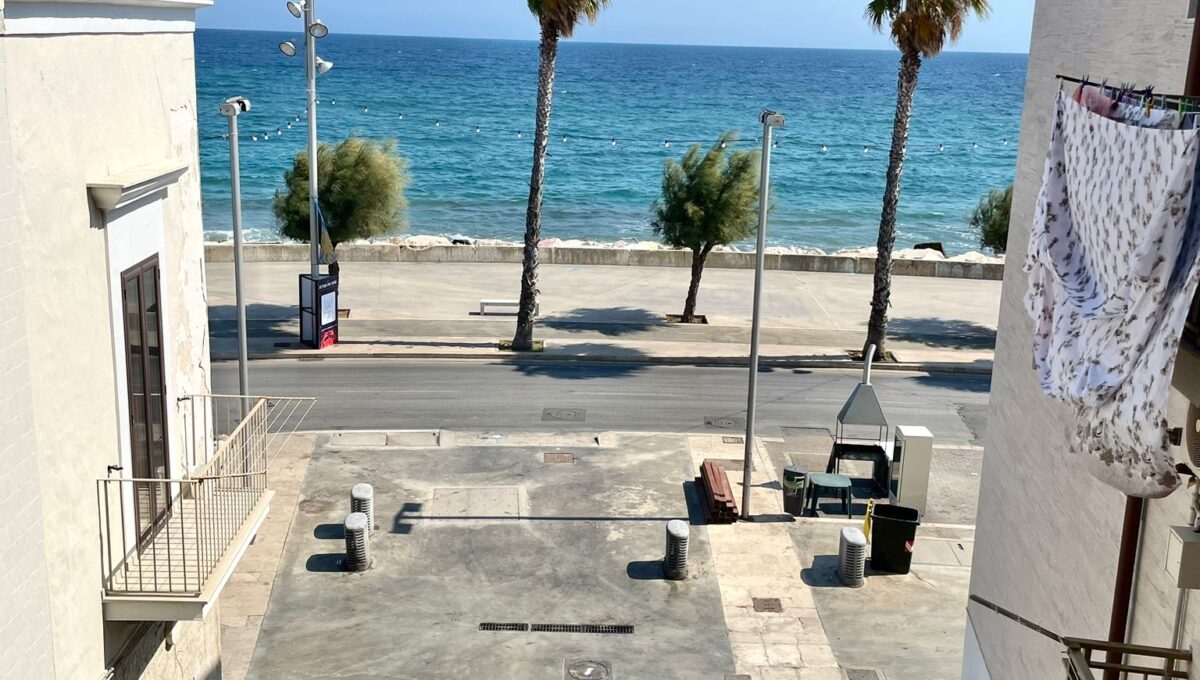 WhatsApp Image 2024-07-29 at 12.45.58 (2)