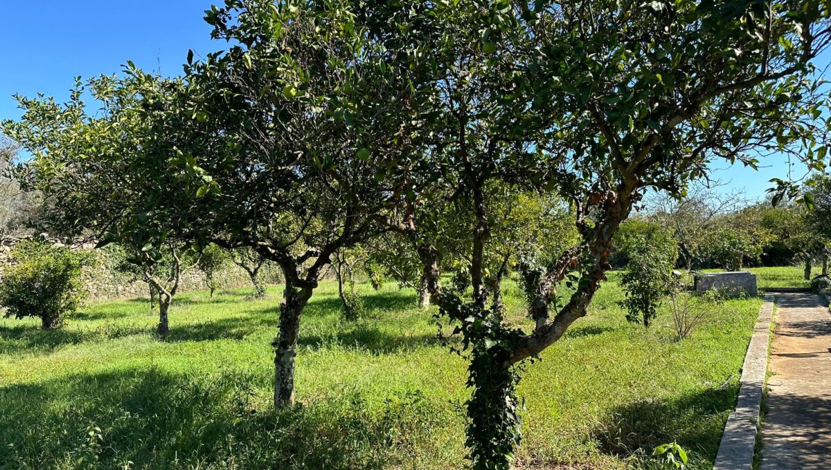 51fc6e37-fd76-467c-a87c-53c8b92cfb23