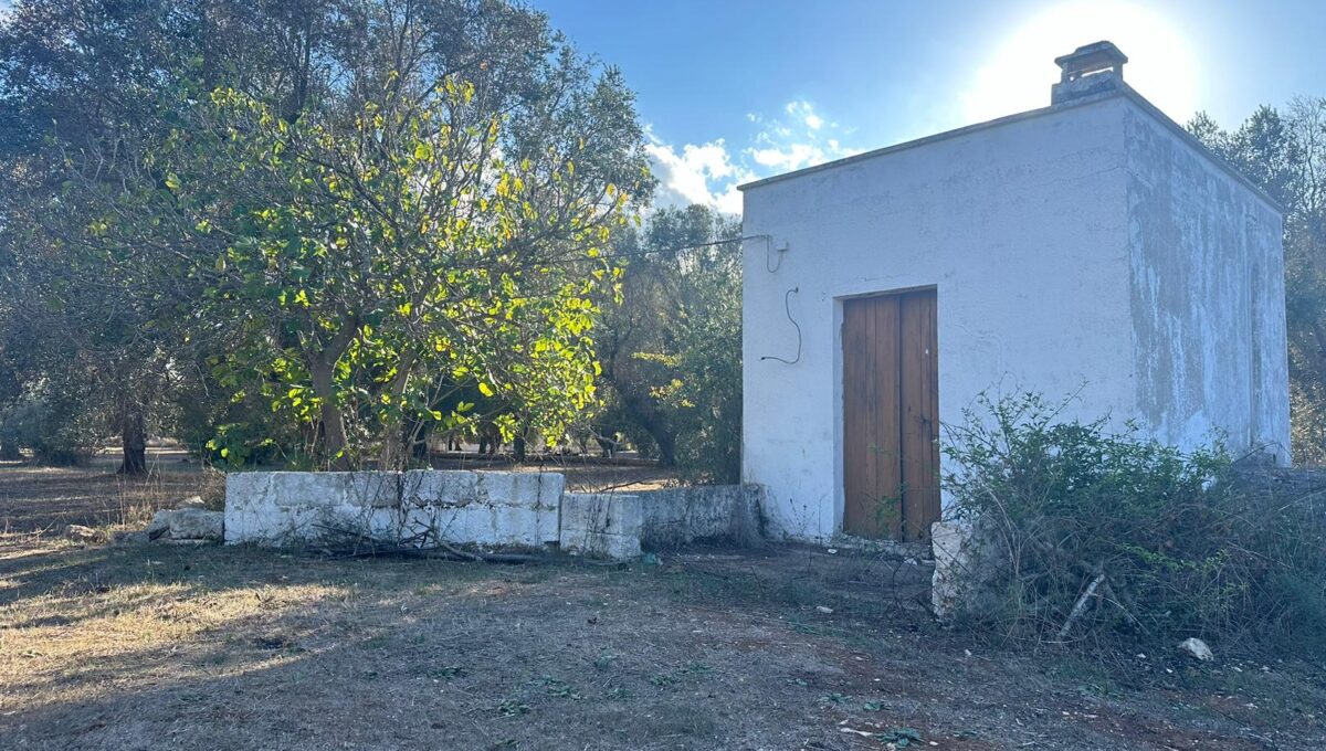 WhatsApp Image 2024-10-06 at 16.36.54 copy 2