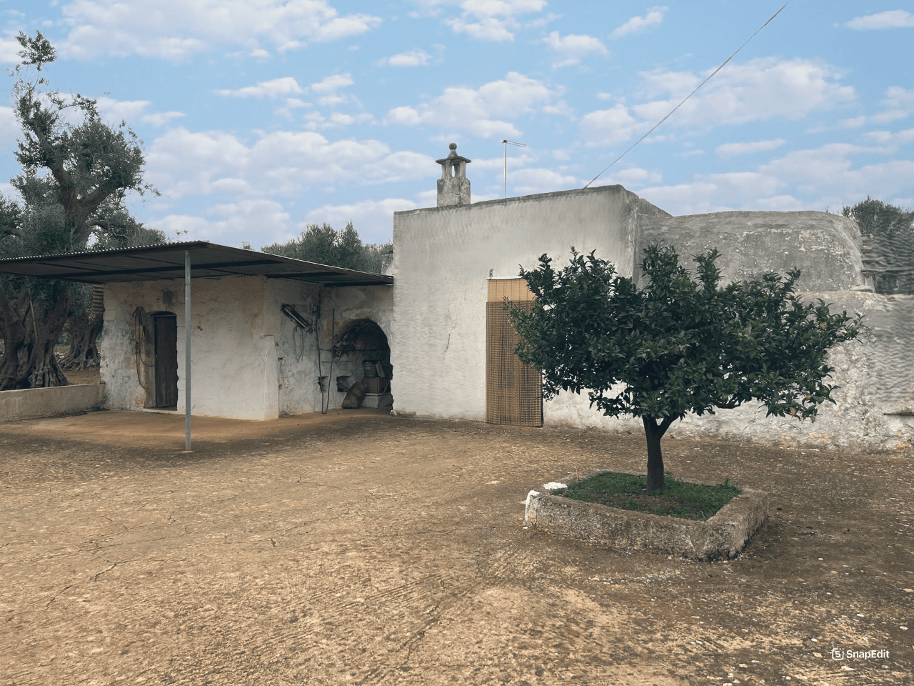 CHARMING TRULLO AND LAMIA TO RESTORE – SURROUNDED BY OLIVE TREES