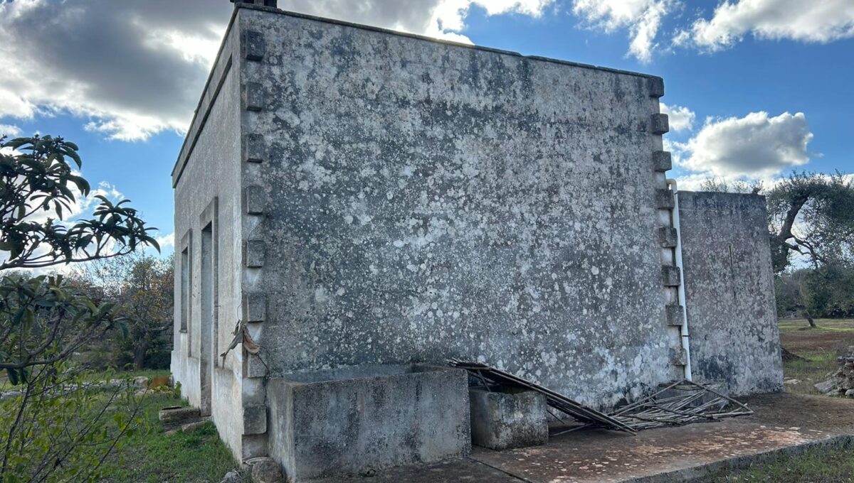 WhatsApp Image 2024-11-16 at 13.54.50