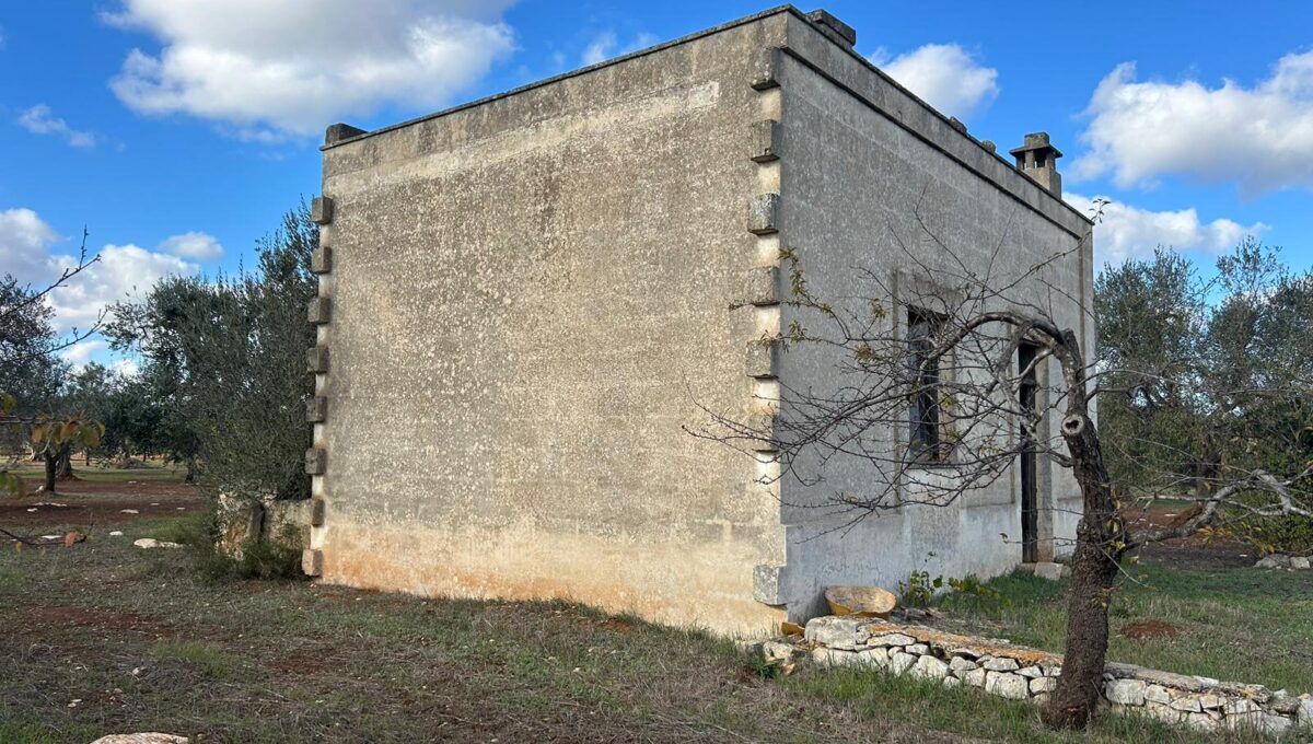 WhatsApp Image 2024-11-16 at 13.55.00