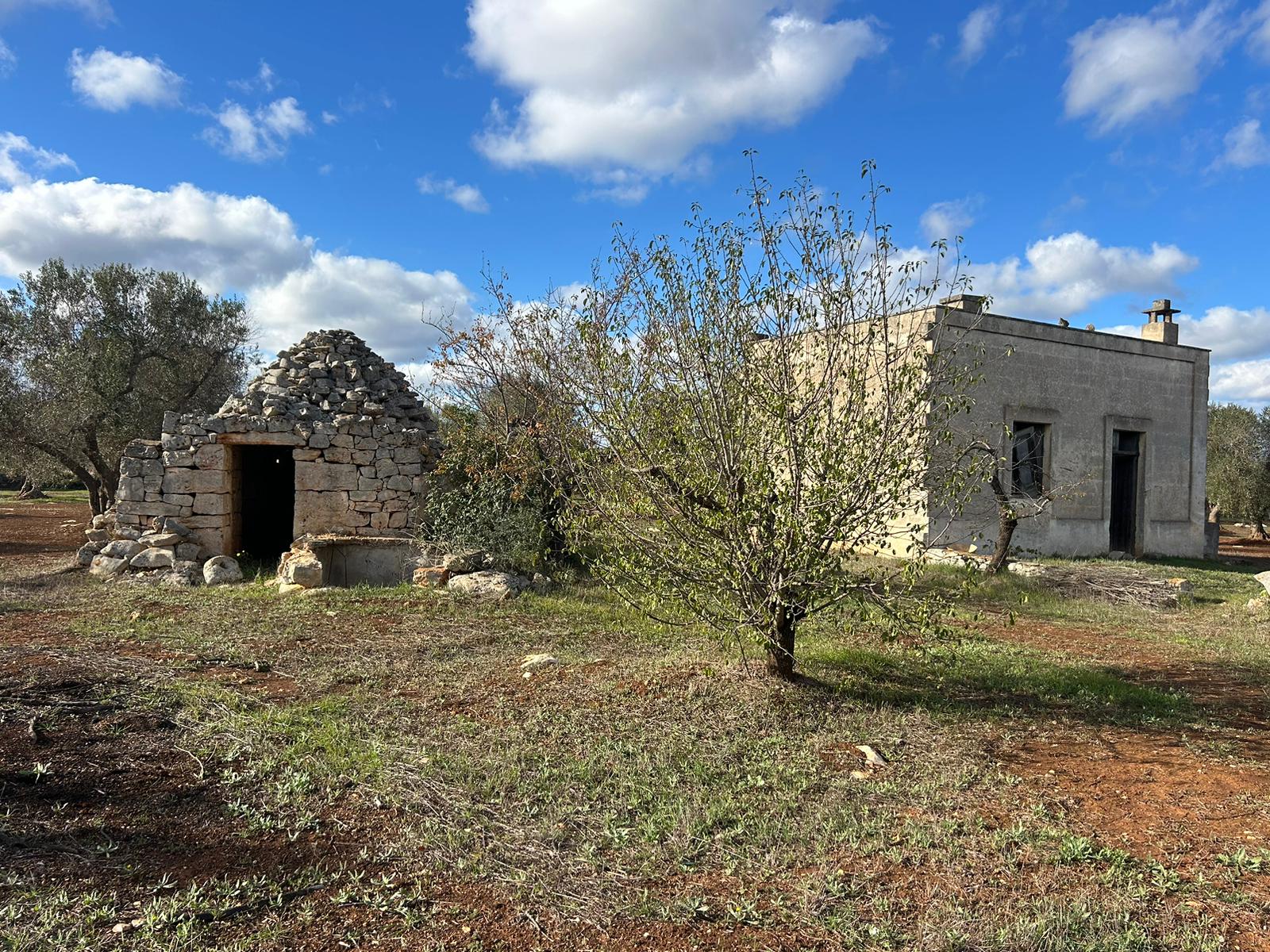 COUNTRYSIDE RETREAT with ENDLESS POTENTIAL