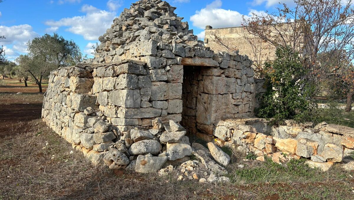 WhatsApp Image 2024-11-16 at 13.55.01 (2)