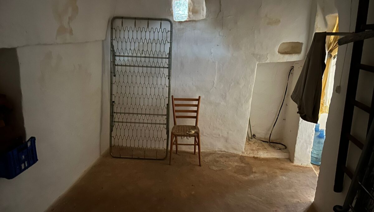 WhatsApp Image 2024-11-20 at 16.26.26