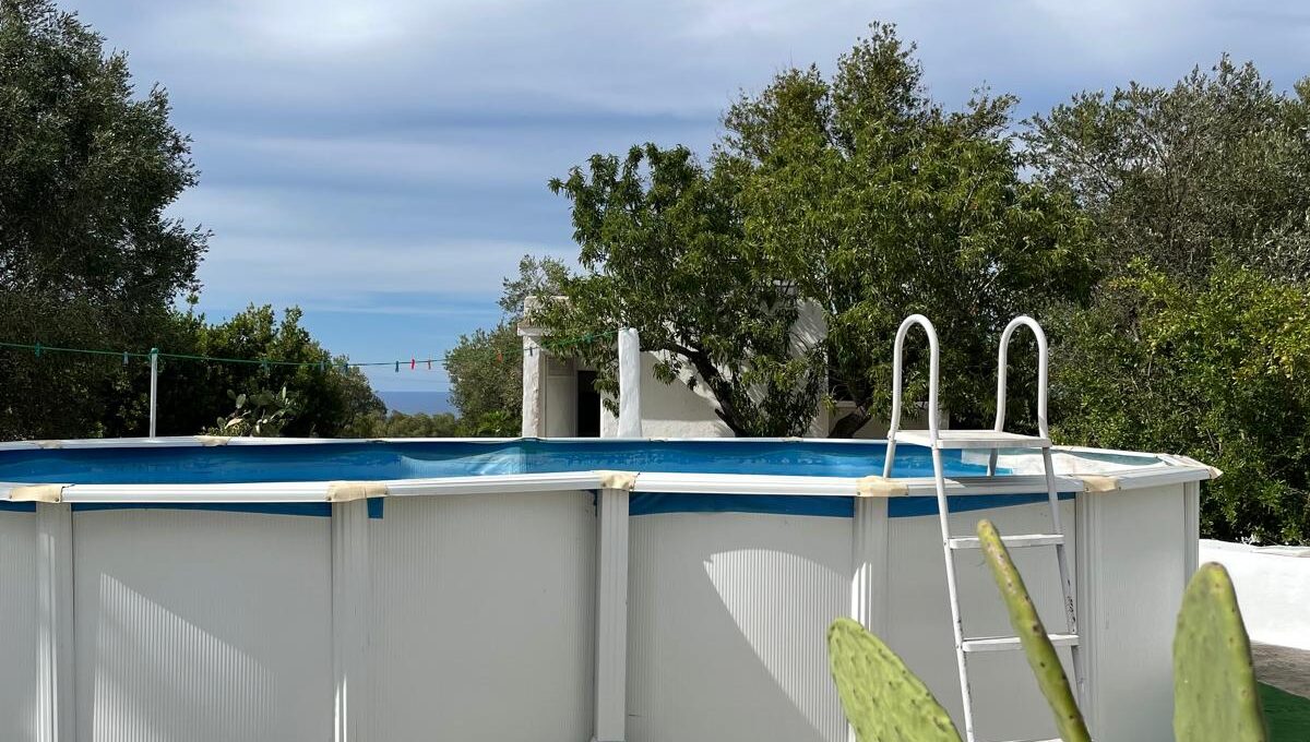 WhatsApp Image 2024-12-05 at 12.25.33 (3)