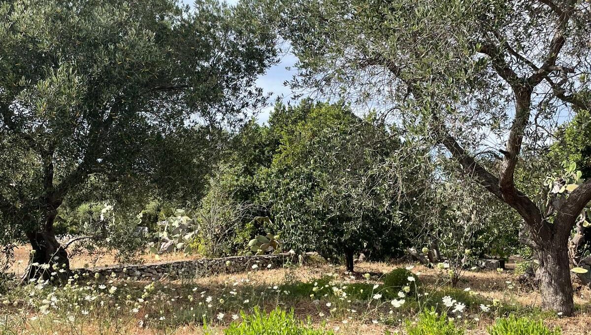 WhatsApp Image 2024-12-05 at 12.25.34 (7)