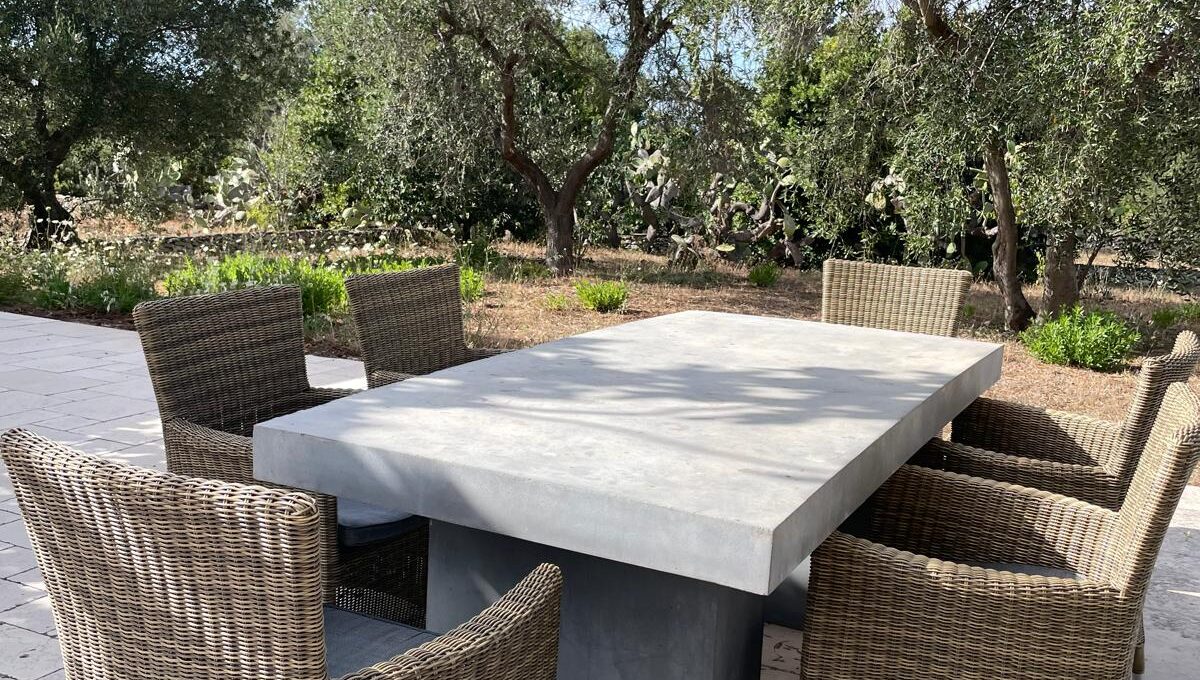 WhatsApp Image 2024-12-05 at 12.25.36 (3)