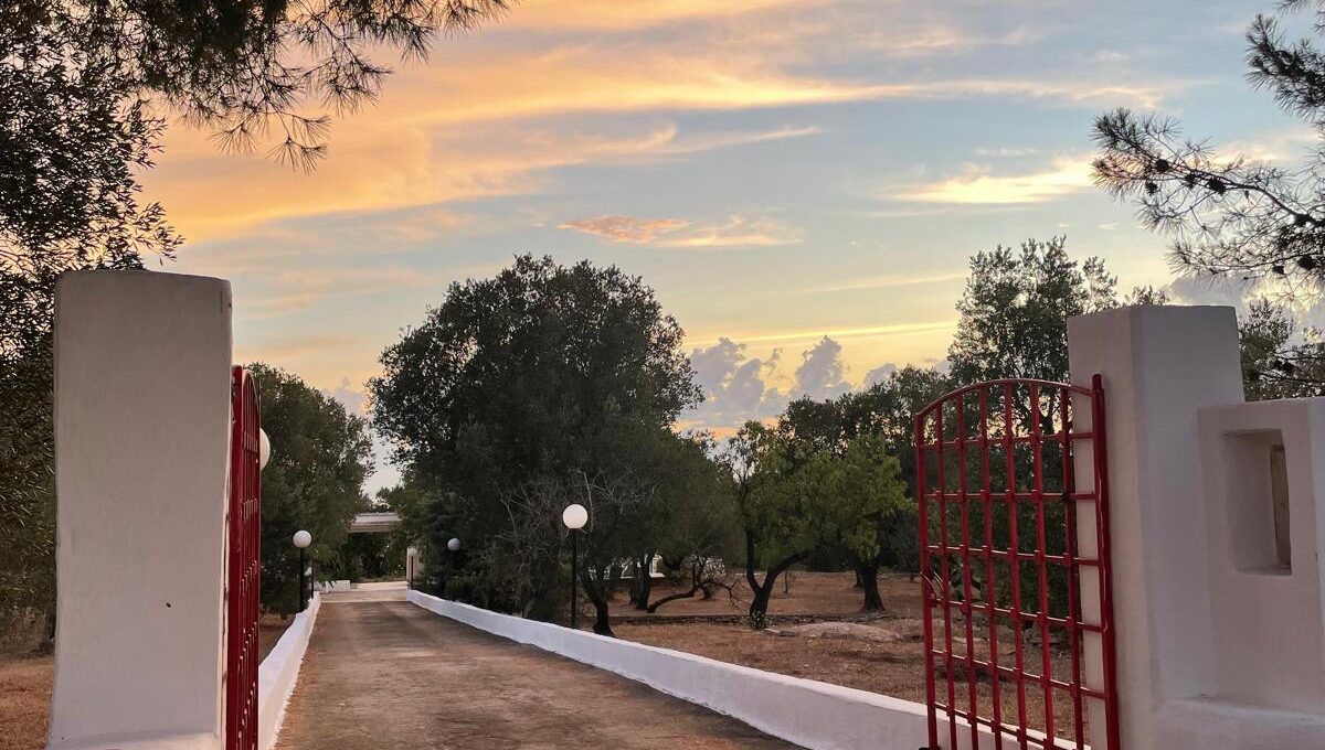 WhatsApp Image 2024-12-05 at 12.25.36 (4)