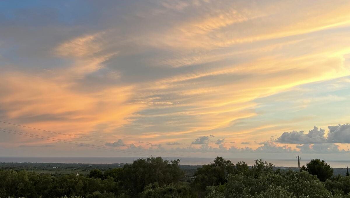 WhatsApp Image 2024-12-05 at 12.25.36 (5)