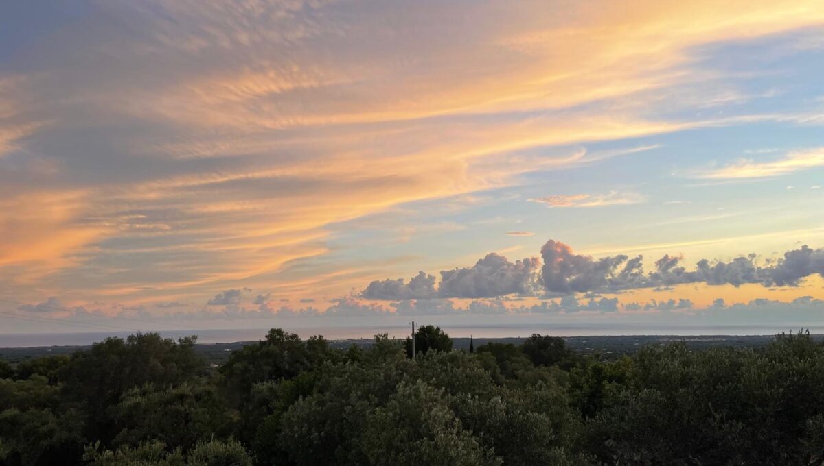 WhatsApp Image 2024-12-05 at 12.25.37 (4)