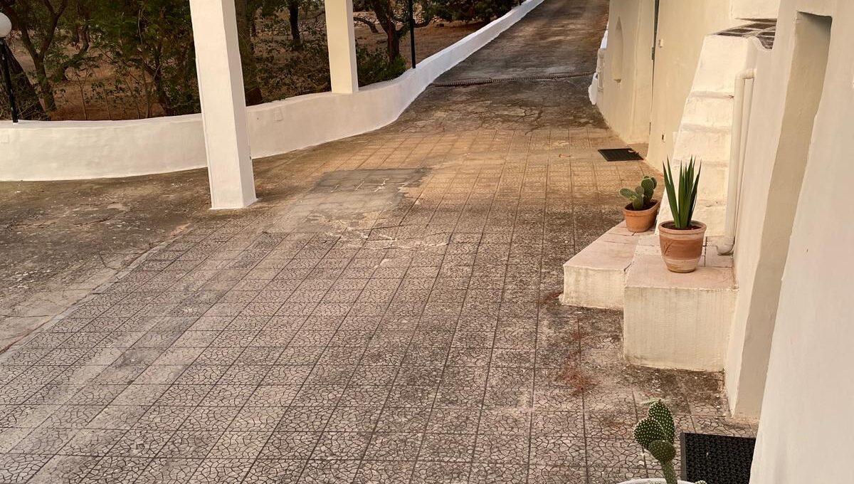 WhatsApp Image 2024-12-05 at 12.25.37 (5)