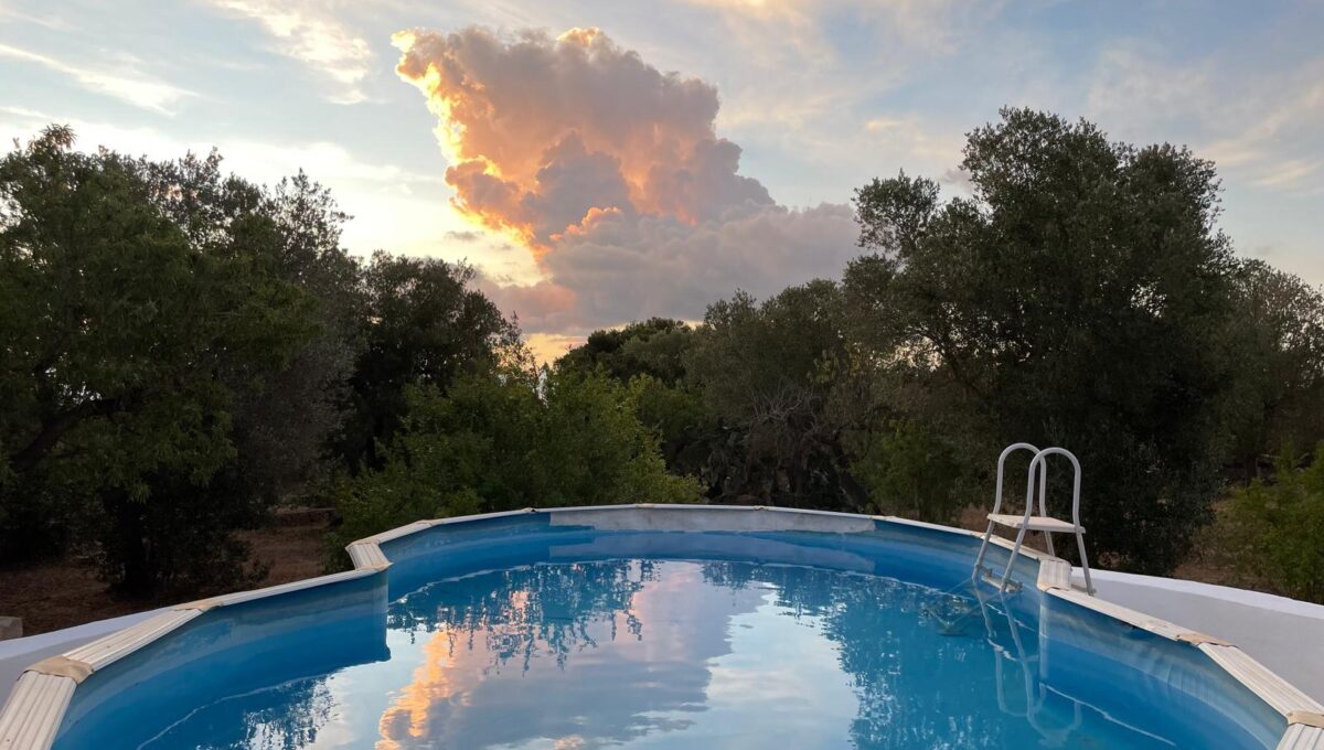 WhatsApp Image 2024-12-05 at 12.25.37 (7)