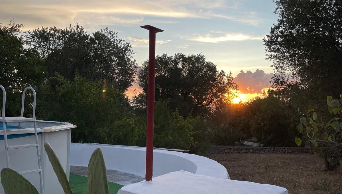 WhatsApp Image 2024-12-05 at 12.25.39 (1)