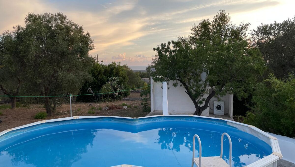 WhatsApp Image 2024-12-05 at 12.25.39 (3)