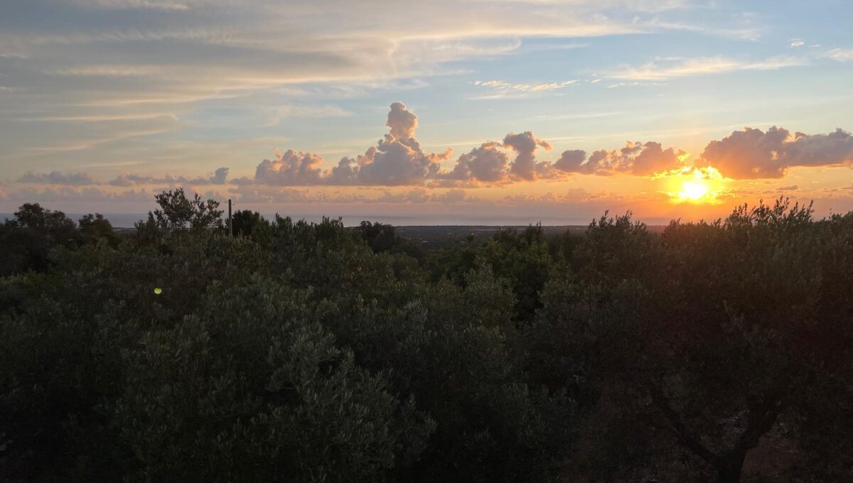 WhatsApp Image 2024-12-05 at 12.25.39 (4)