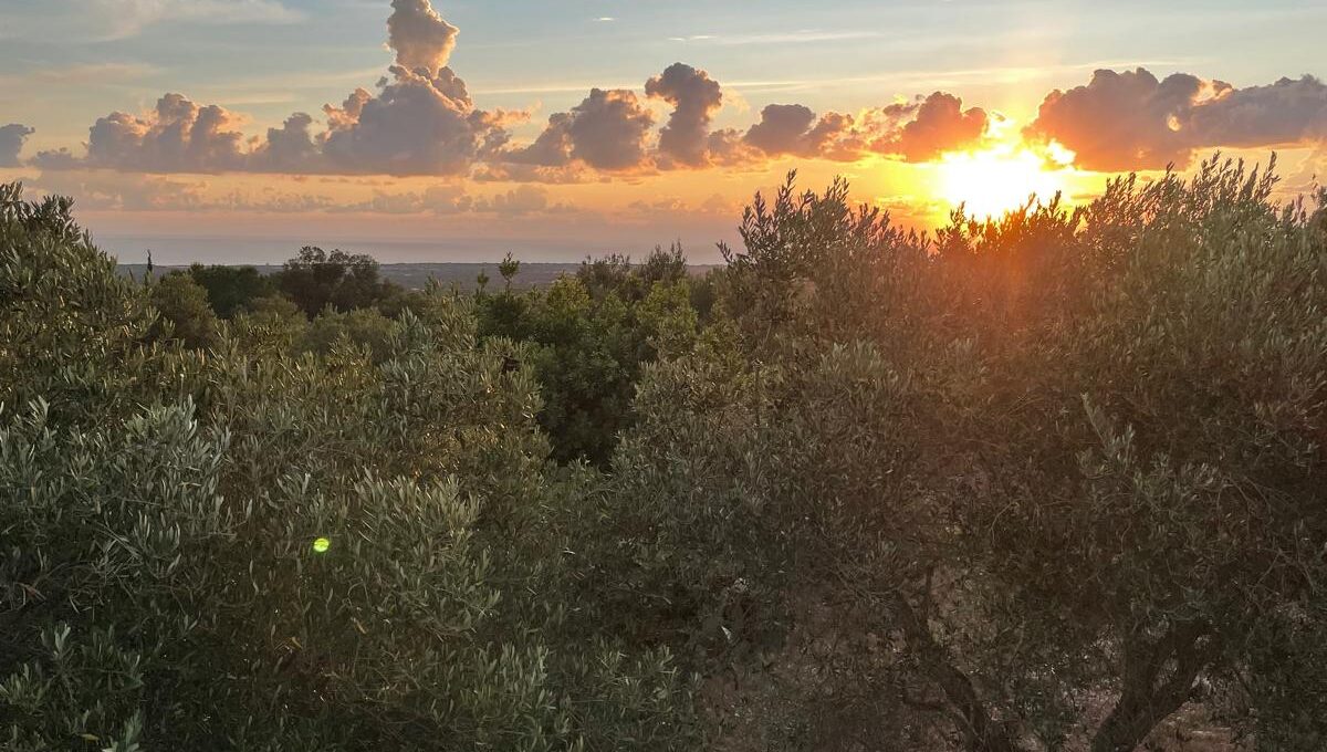 WhatsApp Image 2024-12-05 at 12.25.39 (5)