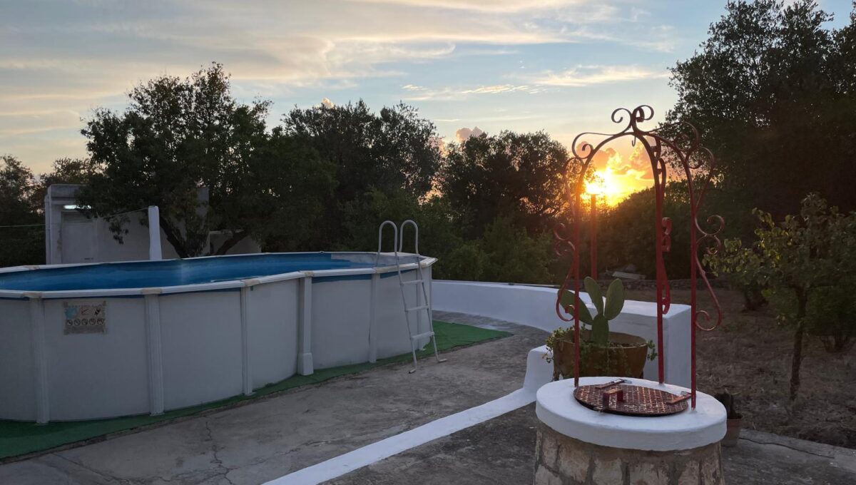 WhatsApp Image 2024-12-05 at 12.25.39 (7)