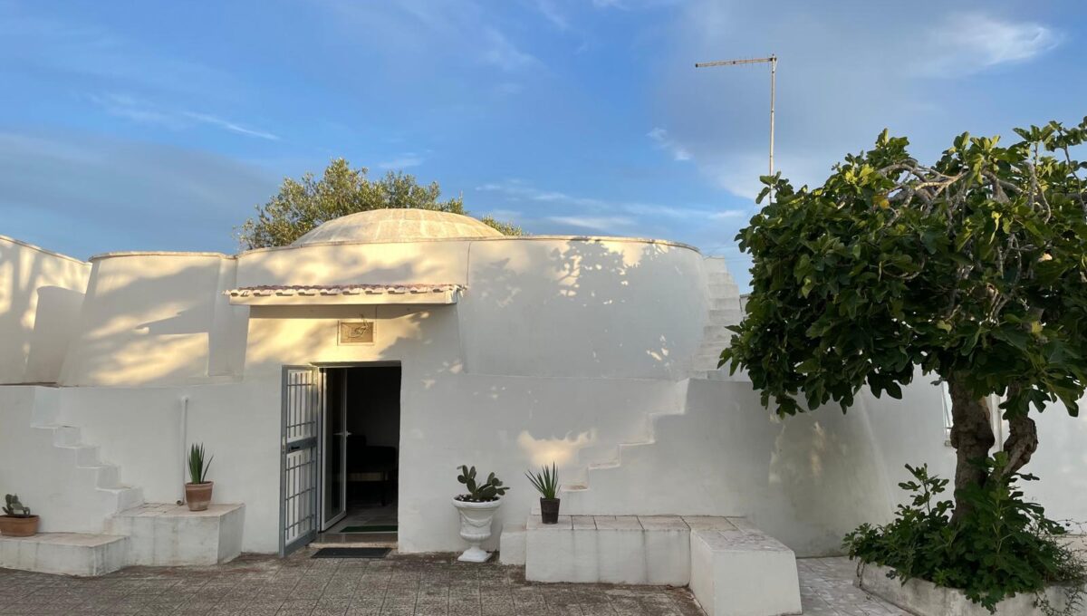 WhatsApp Image 2024-12-05 at 12.25.41 (2)