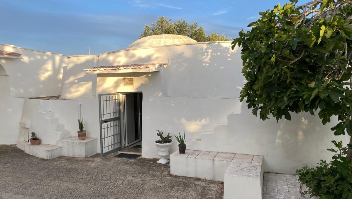 WhatsApp Image 2024-12-05 at 12.25.41 (8)