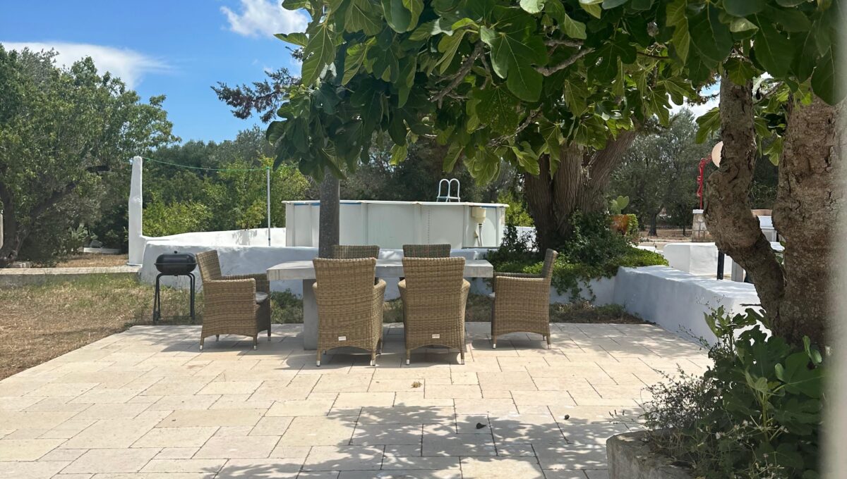 WhatsApp Image 2024-12-05 at 12.30.34