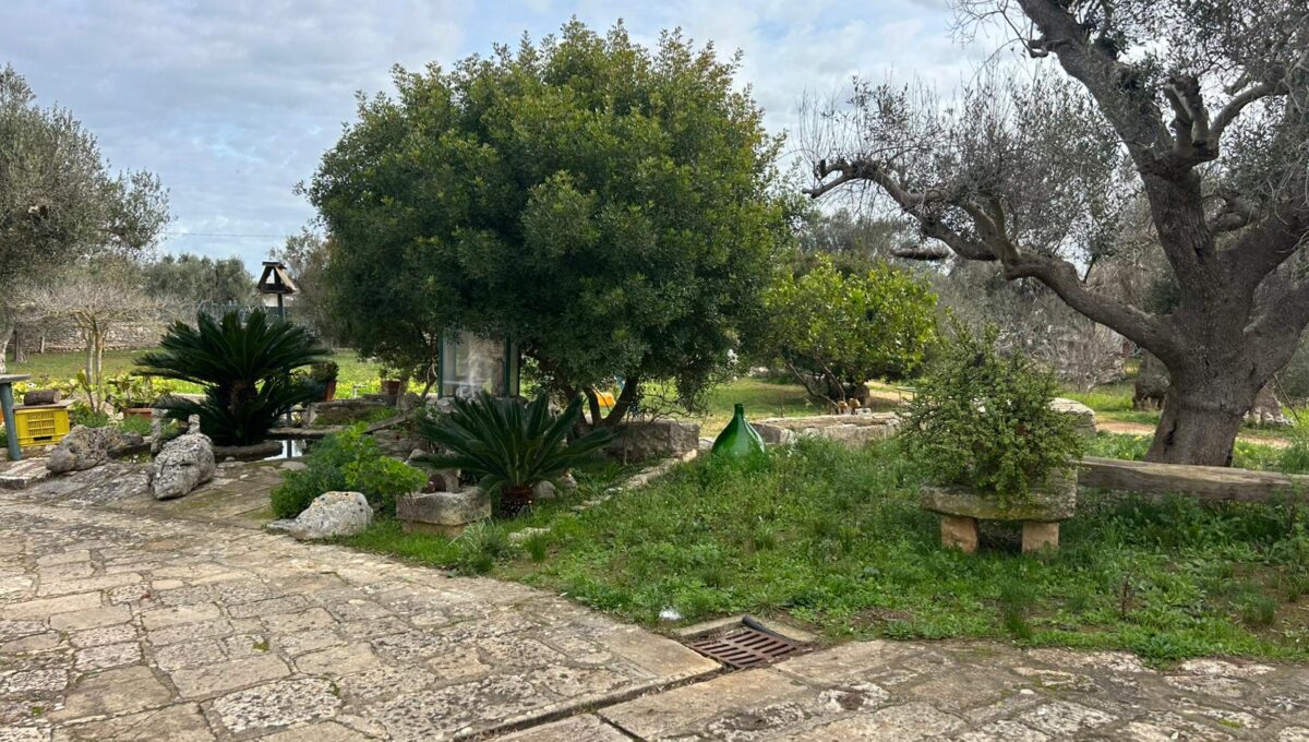 WhatsApp Image 2025-01-30 at 18.57.51