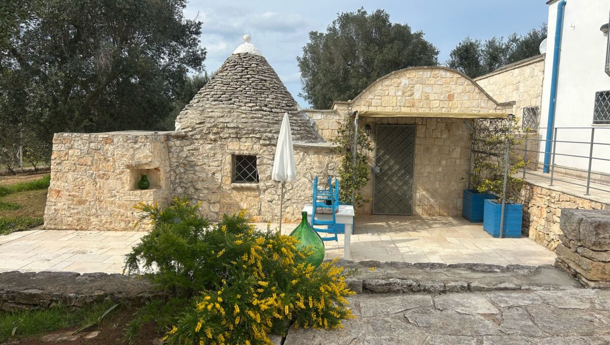 WhatsApp Image 2025-04-10 at 16.14.40