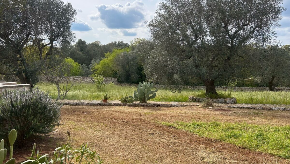 WhatsApp Image 2025-04-10 at 16.14.43