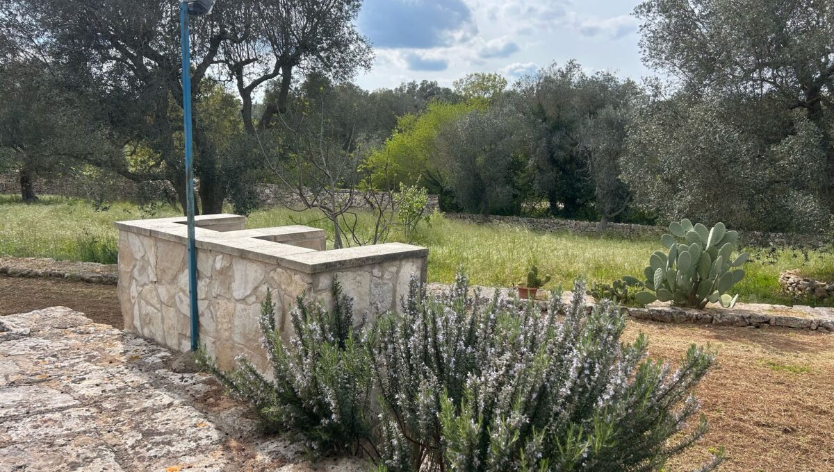 WhatsApp Image 2025-04-10 at 16.14.43(1)